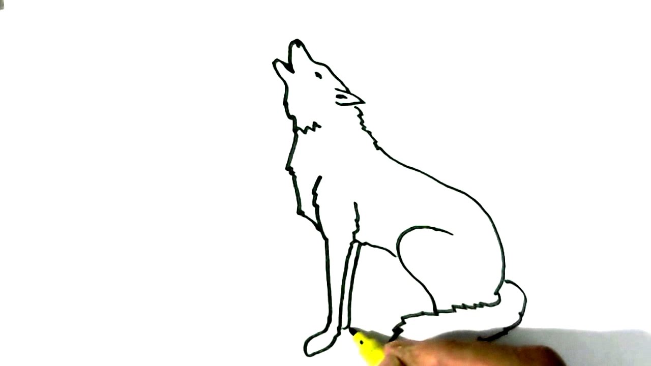 1280x720 How To Draw Wolf Howling In Easy Steps For Children Beginners - Wolf Basic Drawing