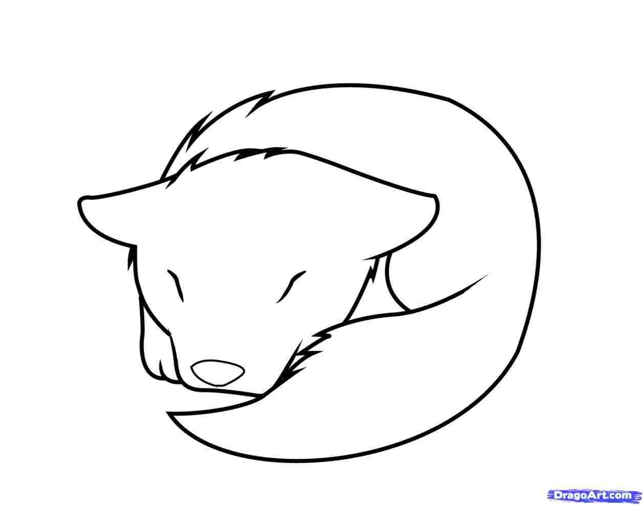 1256x987 From The Word Wolf Easy Steps Drawing Rhdrawinghowtodrawcom - Wolf Basic Drawing