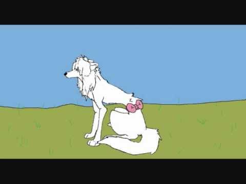 480x360 How To Draw A Wolf On Paint - Wolf Body Drawing