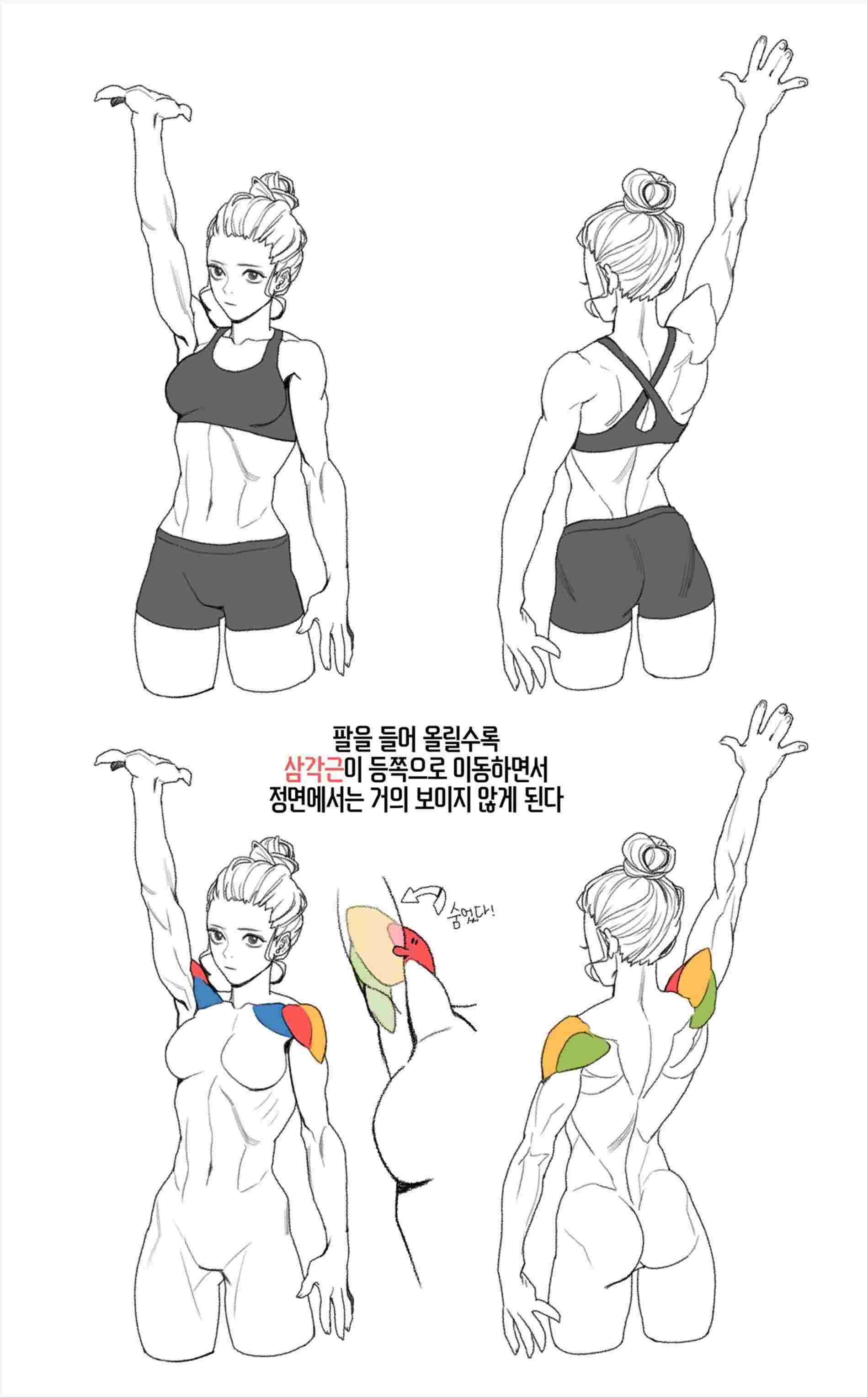 1899x3056 Collection Wolf Body Drawings Of Full Drawing High Quality Free - Wolf Body Drawing