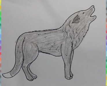 370x297 Draw A Wolf Body Archives - Wolf Body Drawing