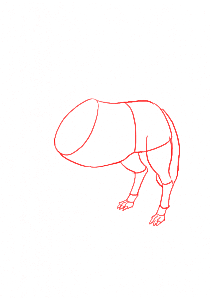 724x1024 Ways To Draw A Wolf - Wolf Body Drawing