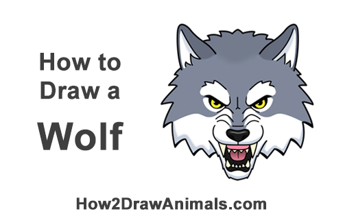 500x315 How To Draw A Wolf Head - Wolf Cartoon Drawing