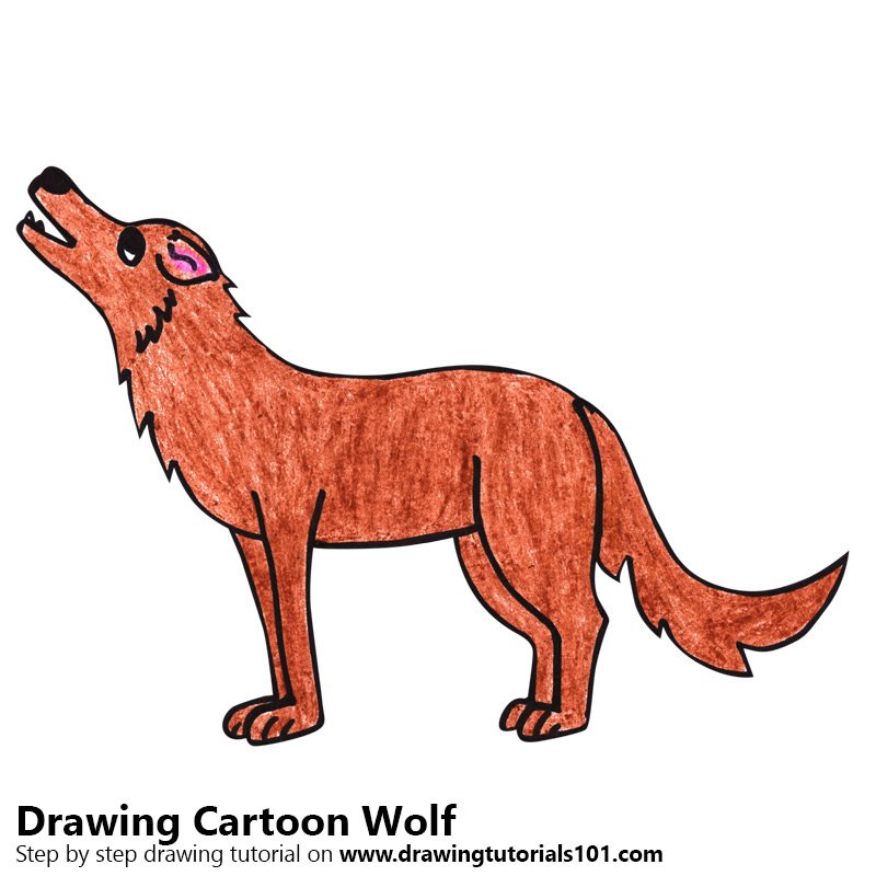 800x800 Learn How To Draw A Cartoon Wolf - Wolf Cartoon Drawing