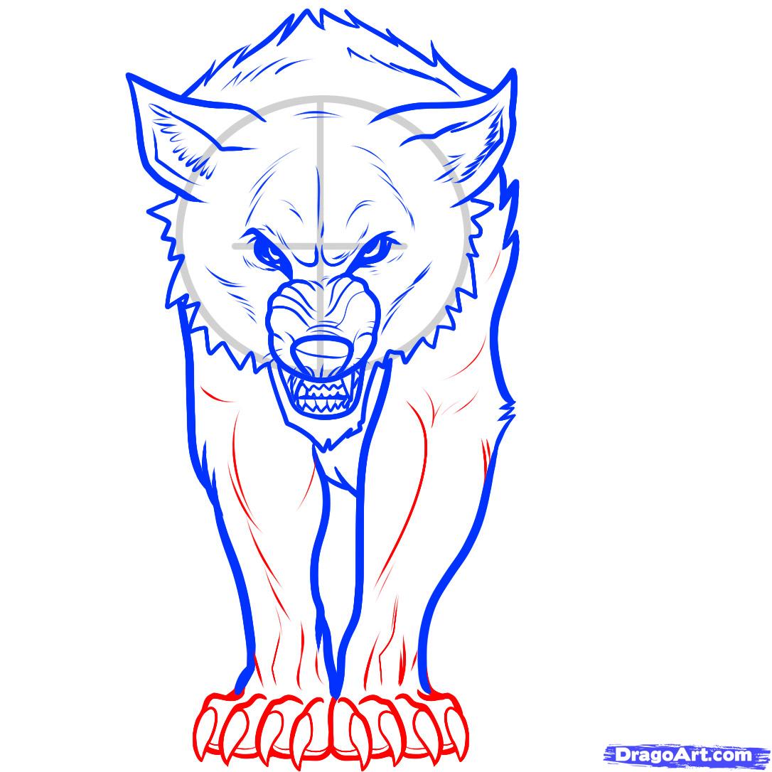 1086x1086 how to draw a twilight wolf, twilight wolf, wolf jacob, step - Wolf Claw Drawing