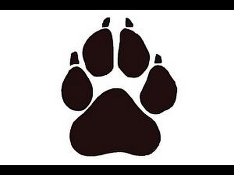 480x360 How To Draw A Paw Print - Wolf Claw Drawing