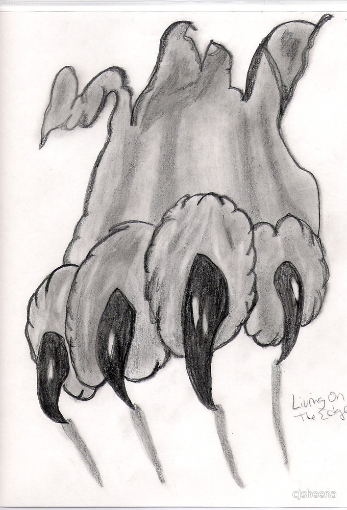 680x1000 wolf claw - Wolf Claw Drawing
