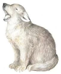 204x247 Image Result For Wolf Cub Drawing Tatto Animal Drawings, Wolf - Wolf Cub Drawing
