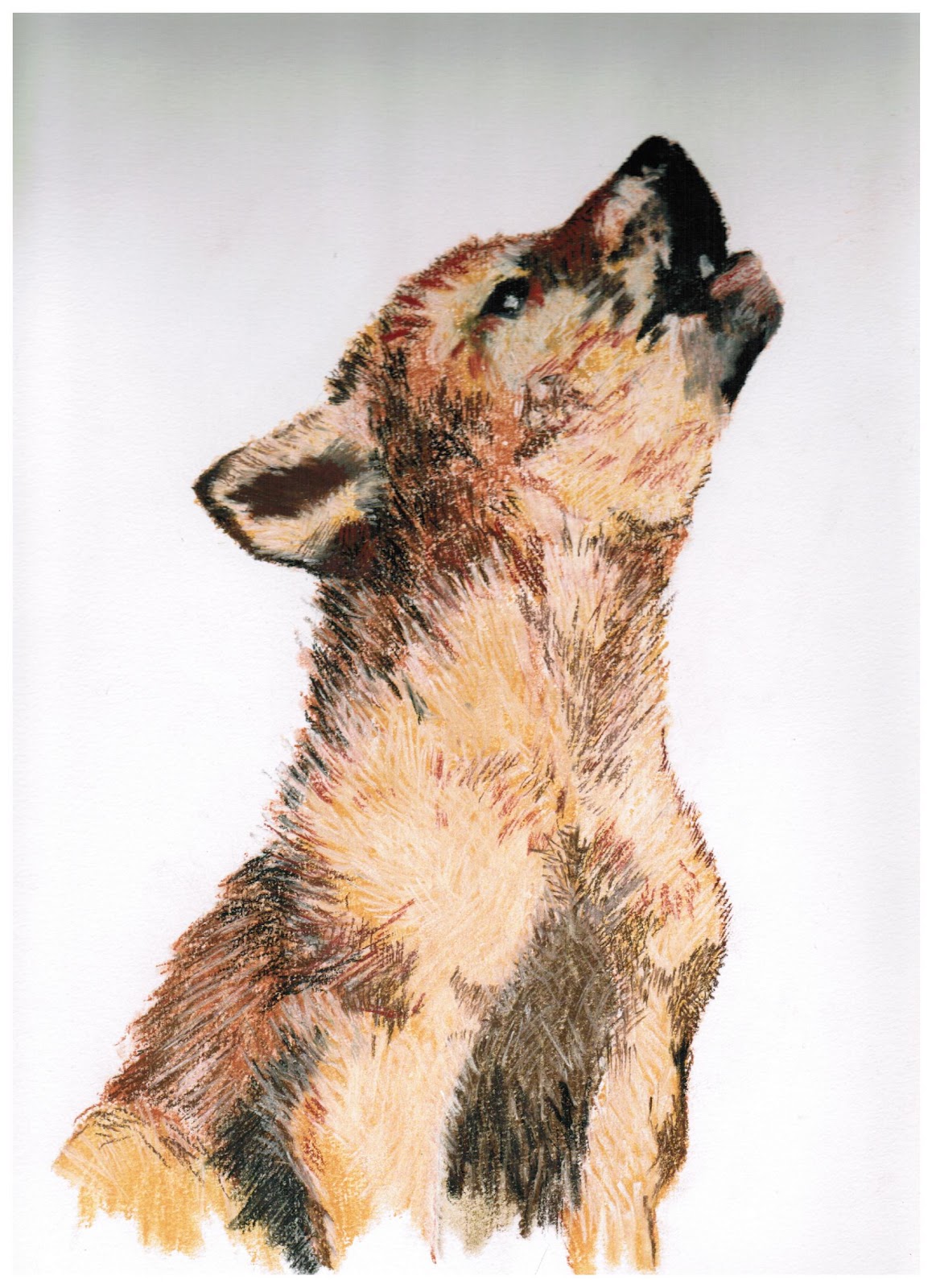 1163x1600 maelgwns muse the drawing process pastels, pencils papers - Wolf Cub Drawing