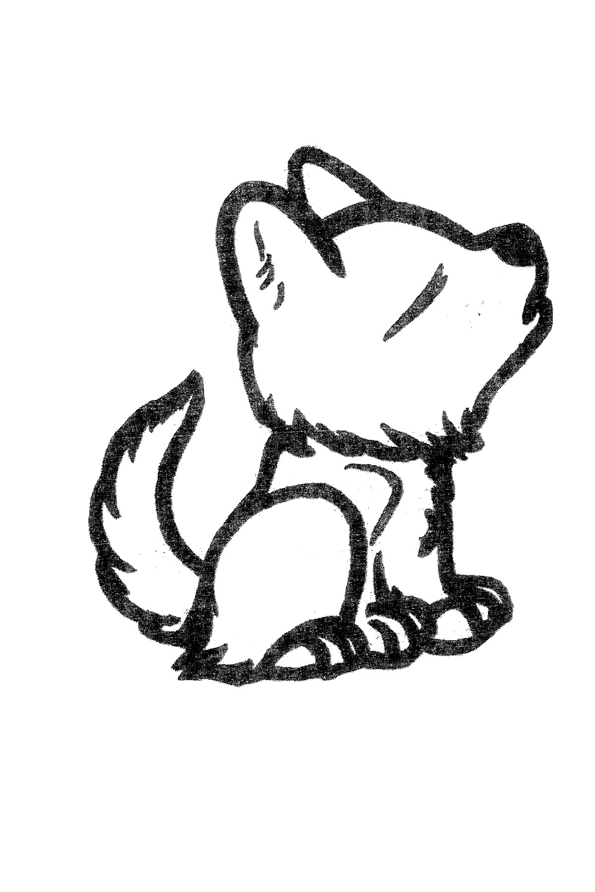 1200x1800  - Wolf Cub Drawing