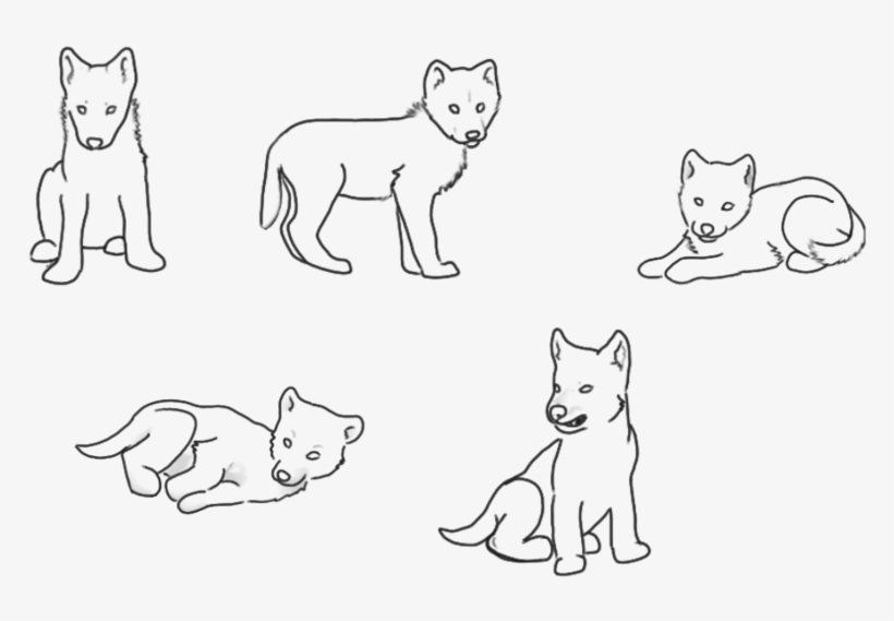 820x569 collection of wolf cubs drawing - Wolf Cub Drawing