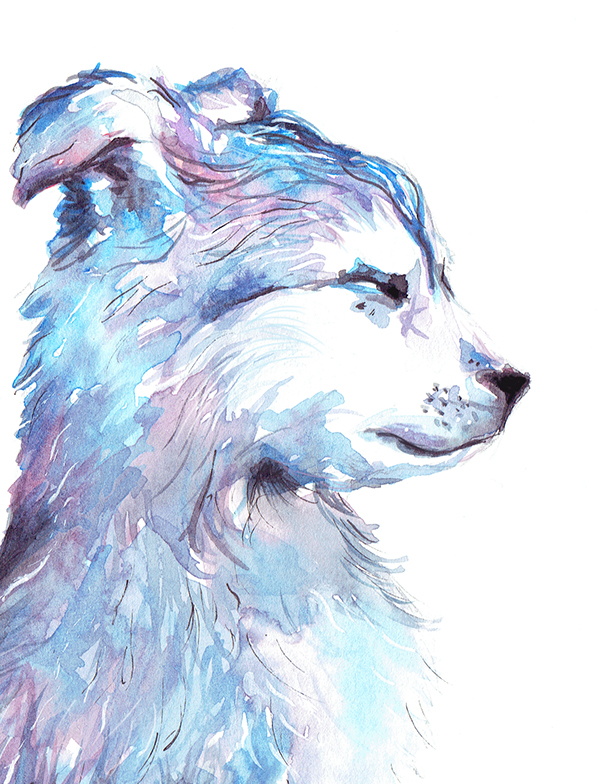 600x784 Winter Wolf Cub On Behance - Wolf Cub Drawing