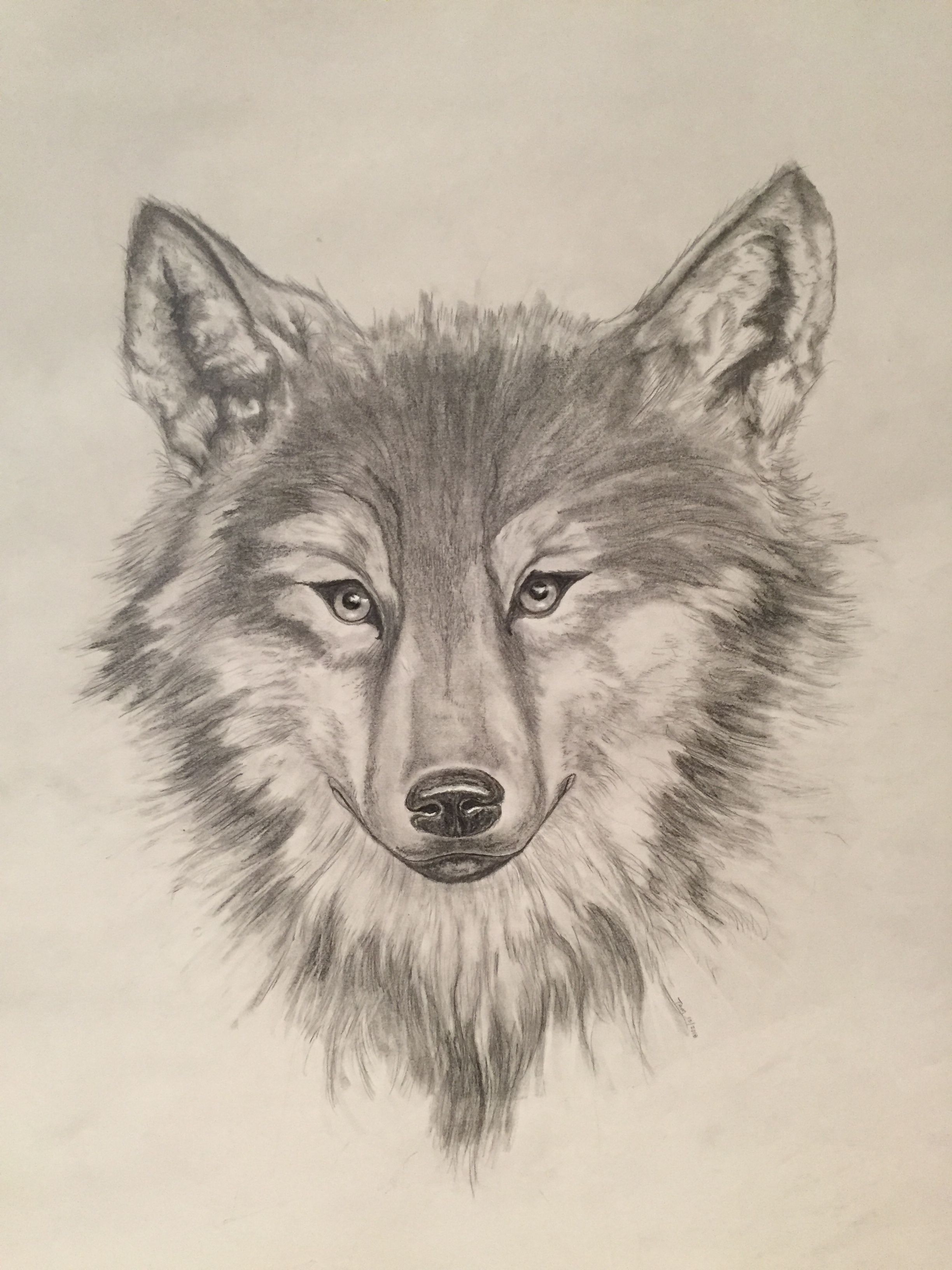 Wolf Cub Drawing at PaintingValley.com | Explore collection of Wolf Cub ...