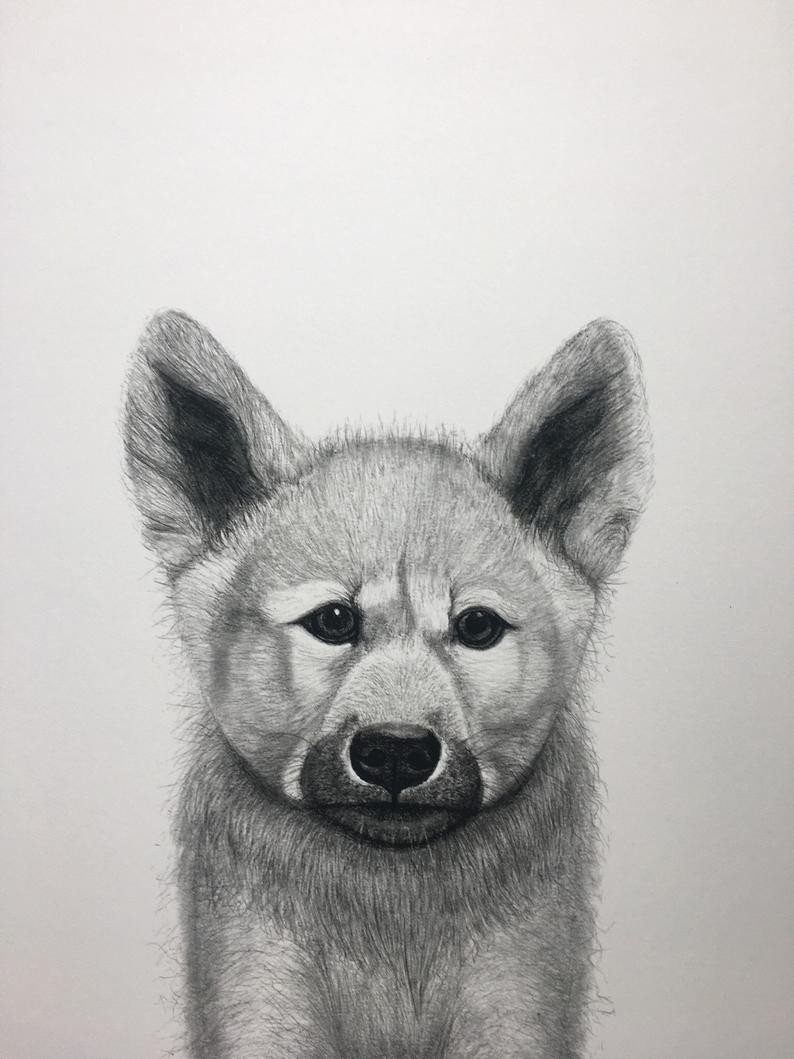 794x1059 Wolf Cub Etsy - Wolf Cub Drawing