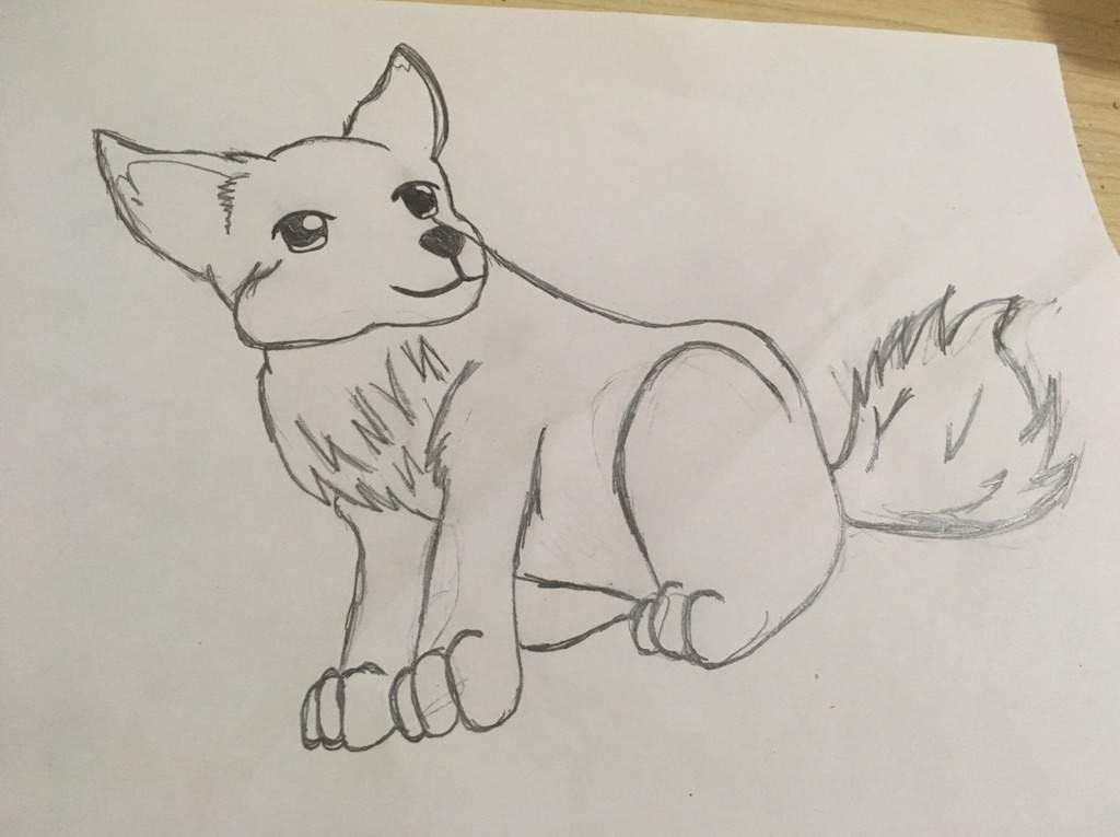 1024x765 wolf cub drawing! wolf amino amino - Wolf Cub Drawing