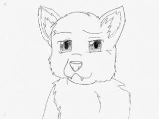 320x240 Anime Wolf Cub - Wolf Cub Drawing