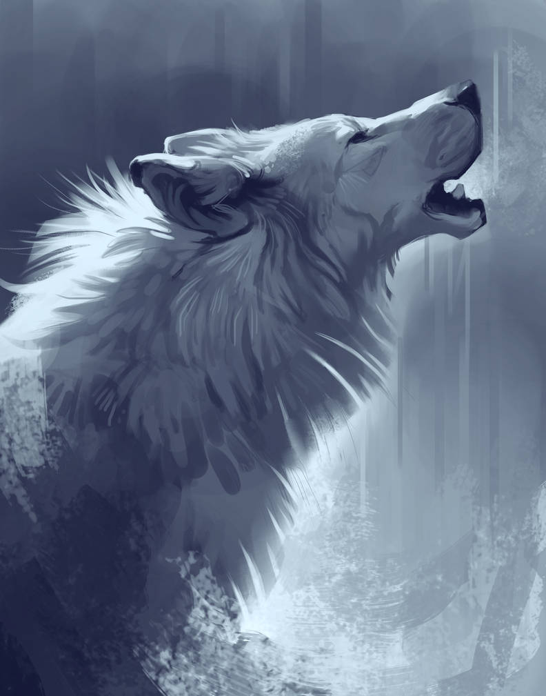 792x1009 Wolf Drawing - Wolf Drawing