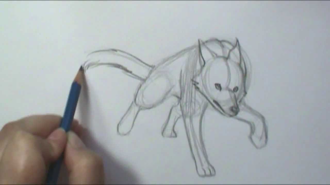 1280x720 How To Draw Motion Wolf Running - Wolf Drawing Art