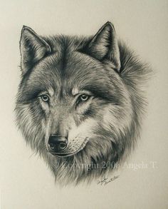 236x293 Best Wolf Drawings Images Drawing Techniques, Drawing - Wolf Drawing Art