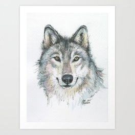 264x264 Wolf Drawing Art Prints - Wolf Drawing Art
