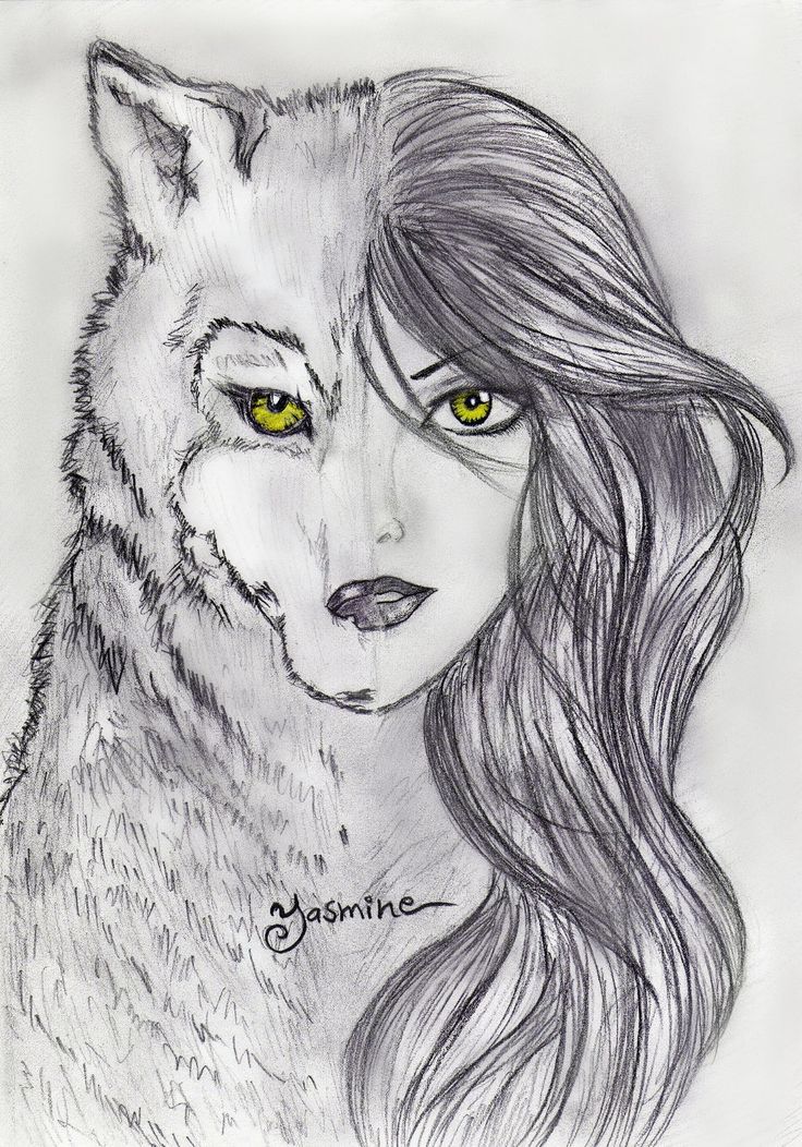736x1052 Wolf Drawings - Wolf Drawing Art