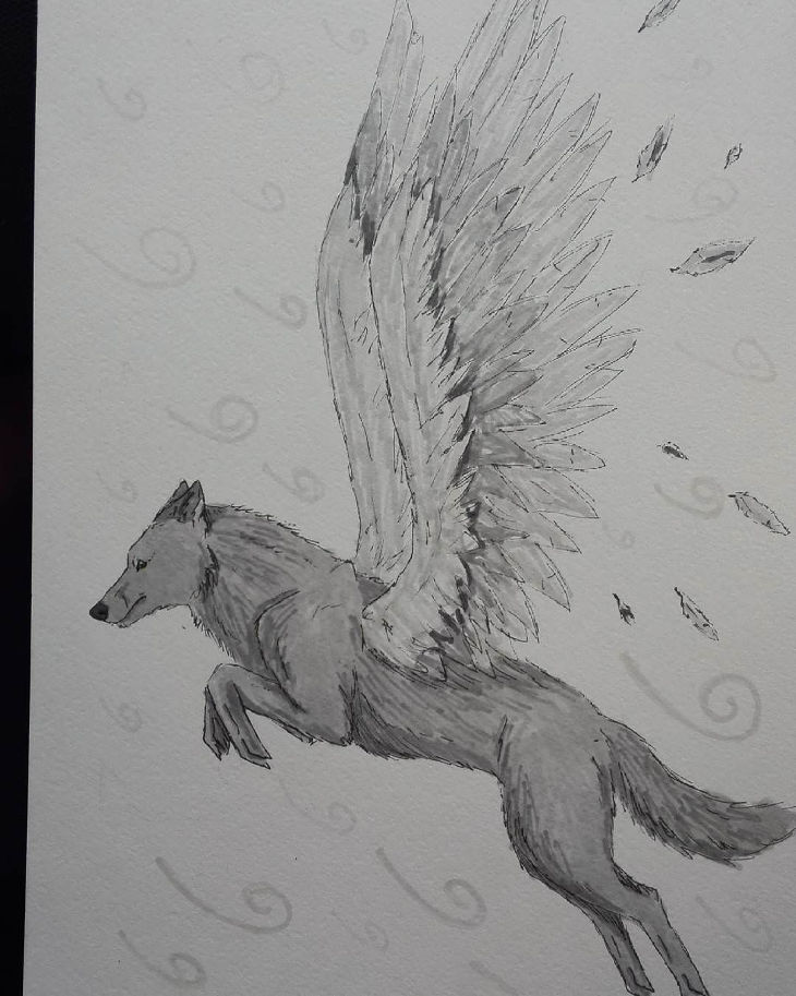 730x913 Amazing Collection Of Wolf Drawingdrawings Design Trends - Wolf Drawing Art