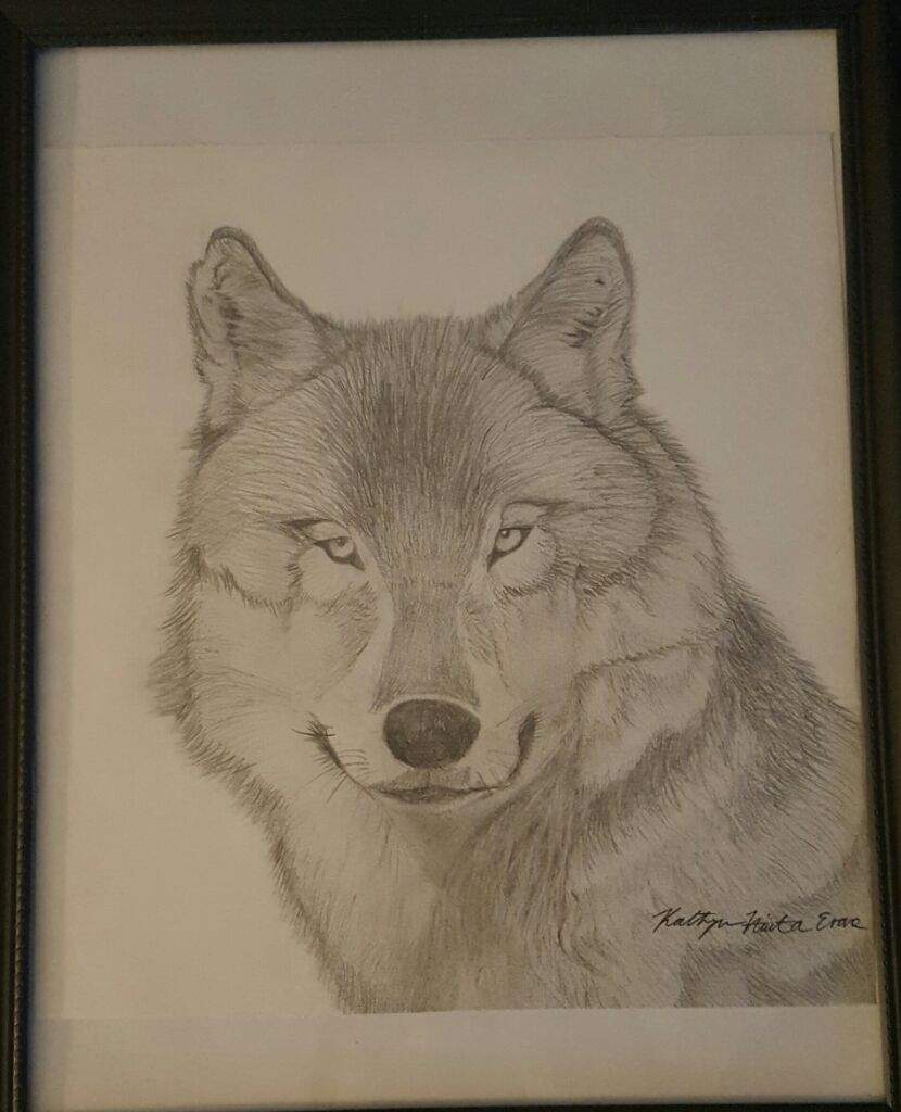 830x1024 Wolf Drawing Art Amino - Wolf Drawing Art