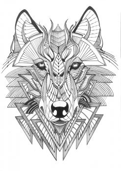 247x350 Artfido Buy Art Online 'wolf' Pen And Ink Drawing - Wolf Drawing Art