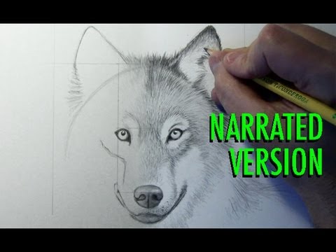480x360 How To Draw A Wolf - Wolf Drawing Books