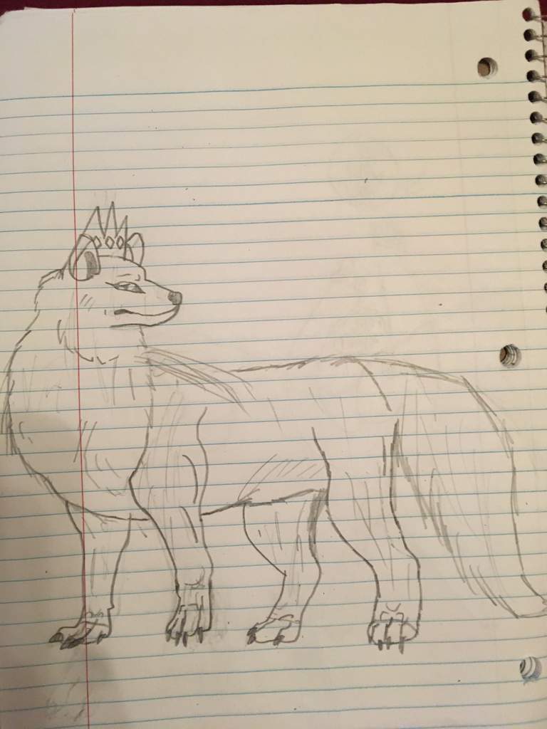 768x1024 wolf drawing! erin hunter books amino amino - Wolf Drawing Books