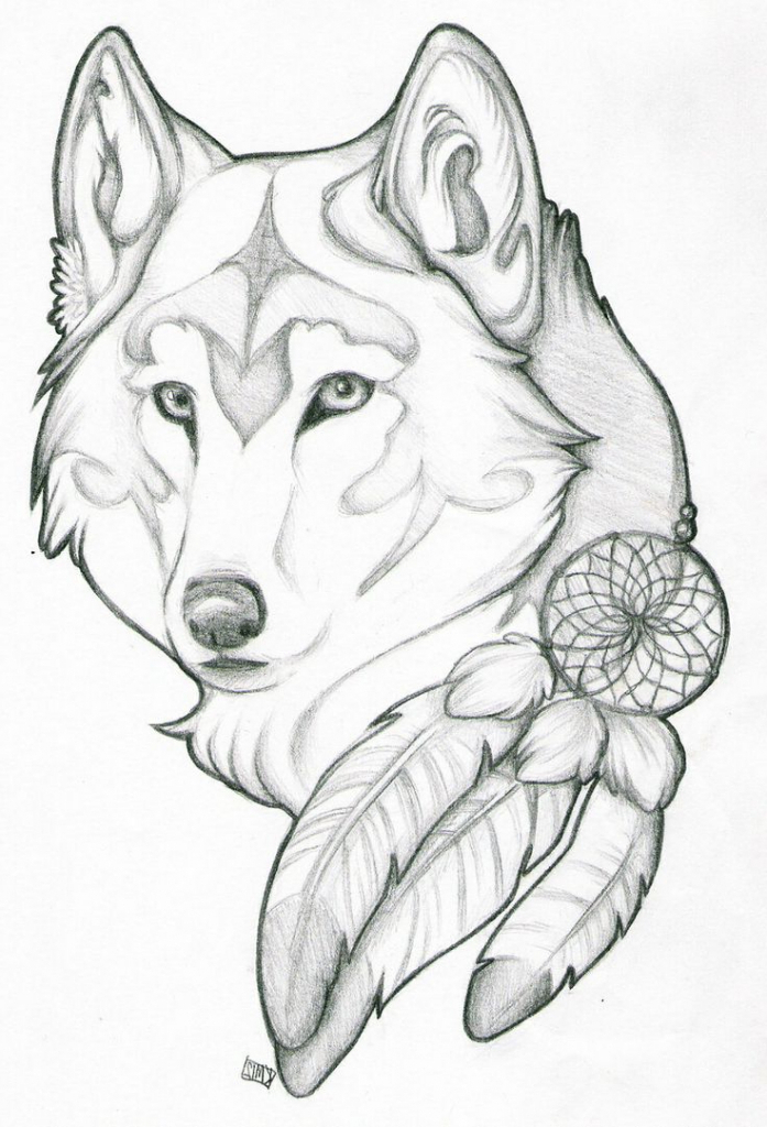 Wolf Drawing Easy at Explore collection of Wolf