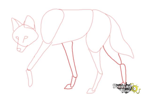 600x400 How To Draw A Wolf - Wolf Drawing Easy
