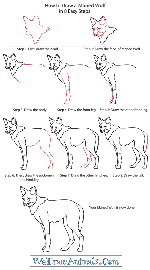 600x1080 How To Draw A Maned Wolf - Wolf Drawing Easy Step By Step