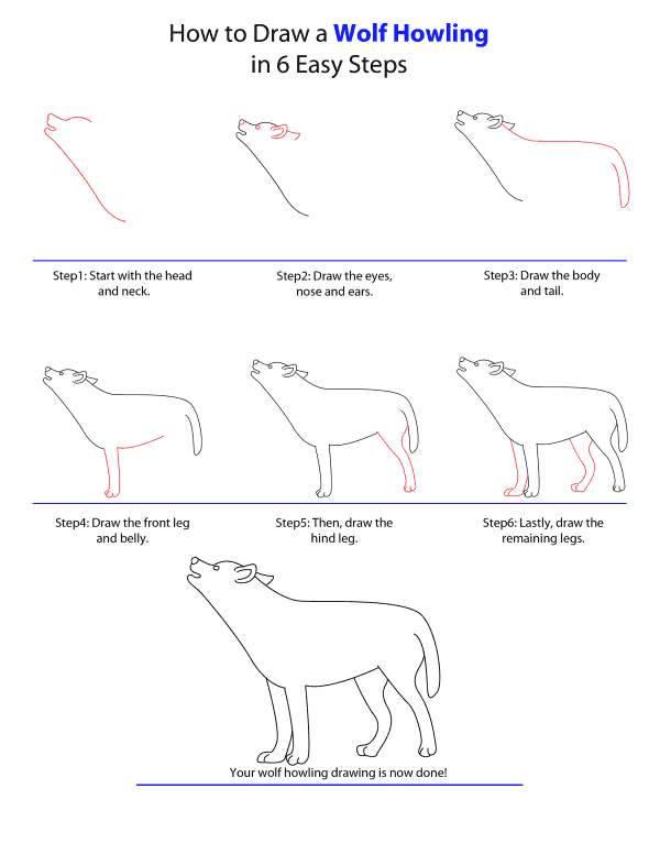 600x776 How To Draw A Wolf - Wolf Drawing Easy Step By Step