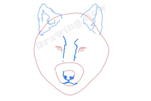 600x400 How To Draw A Wolf Face - Wolf Drawing Easy Step By Step