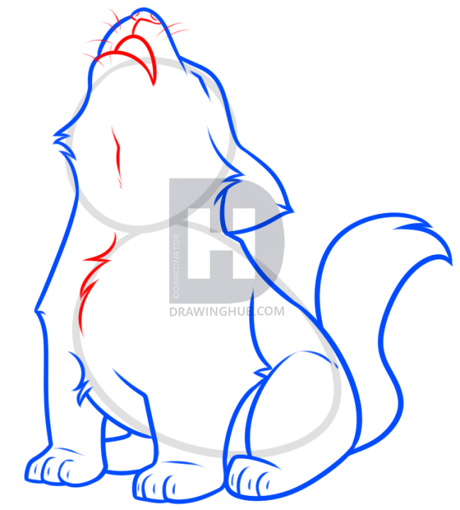 650x720 Howling Wolf Pup Drawing Tutorial, Step - Wolf Drawing Easy Step By Step