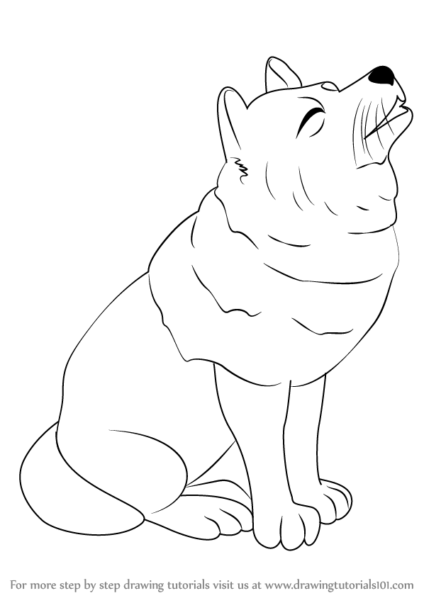 598x844 Learn How To Draw A Wolf For Kids - Wolf Drawing For Kids