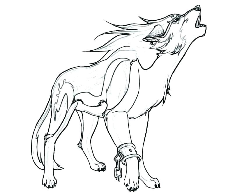 800x667 Wolf Drawing For Kids Coloring Pages Reading Learning Free Wolf - Wolf Drawing For Kids