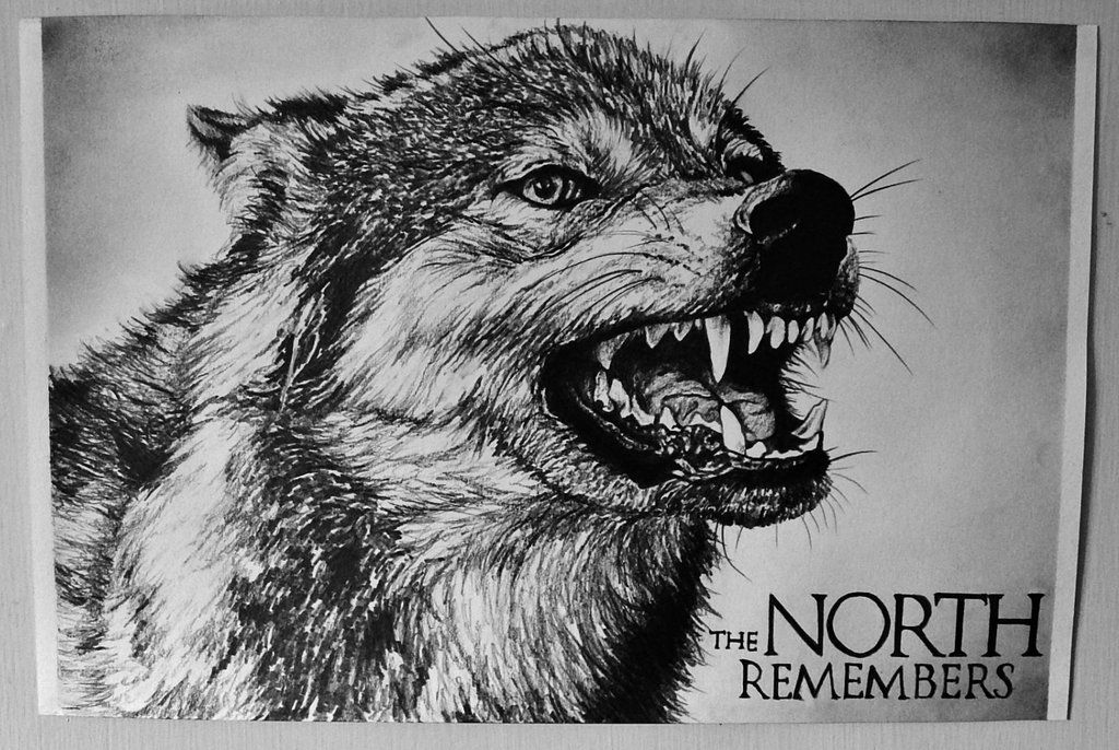 1024x686 dire wolf - Wolf Drawing Games