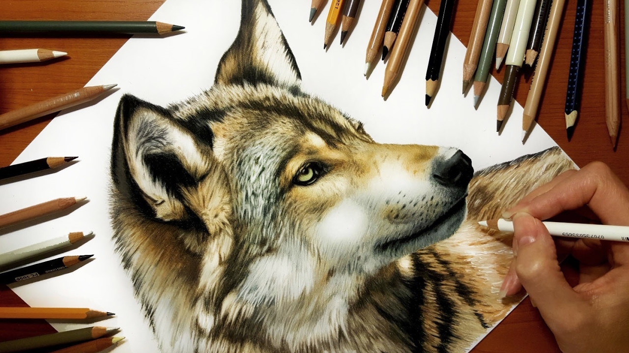 1280x720 speed drawing of a wolf jasmina susak - Wolf Drawing Games