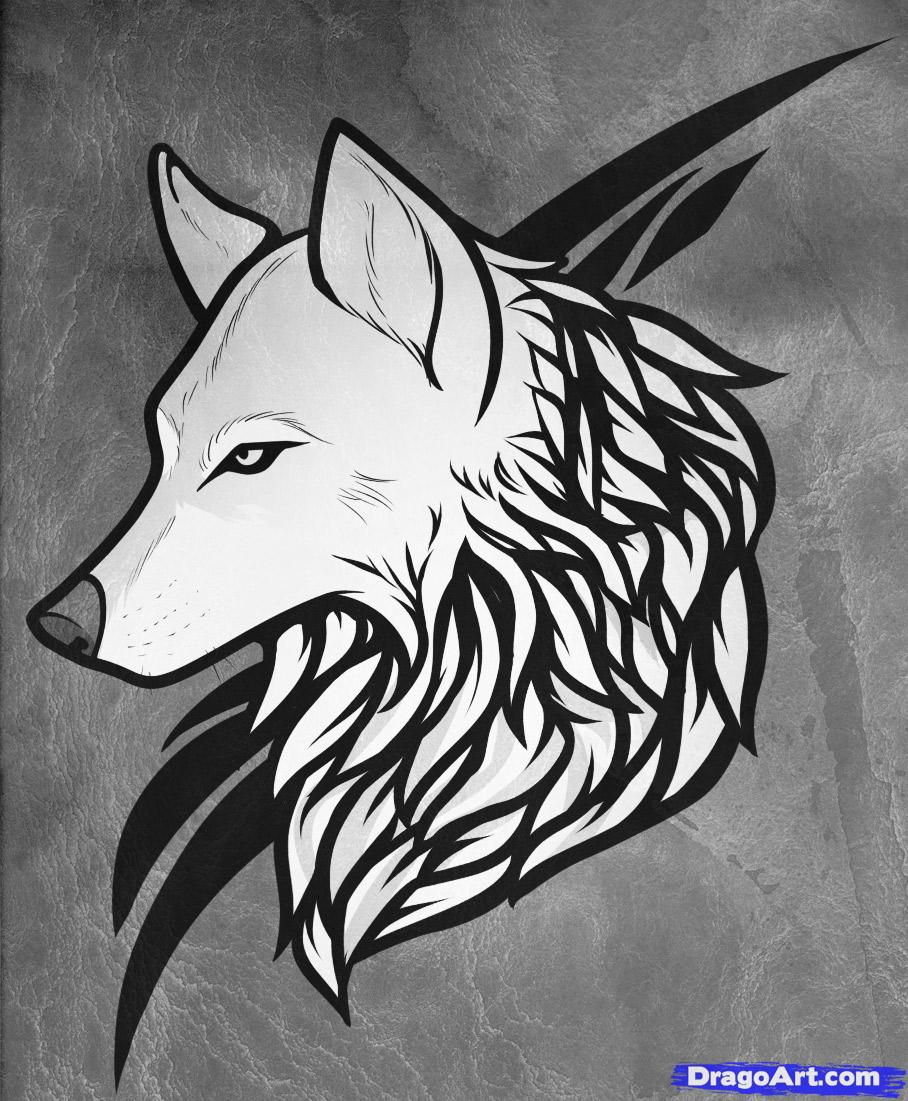 908x1101 How To Draw A Wolf Tattoo, Wolf Tattoo, Step - Wolf Drawing Pics