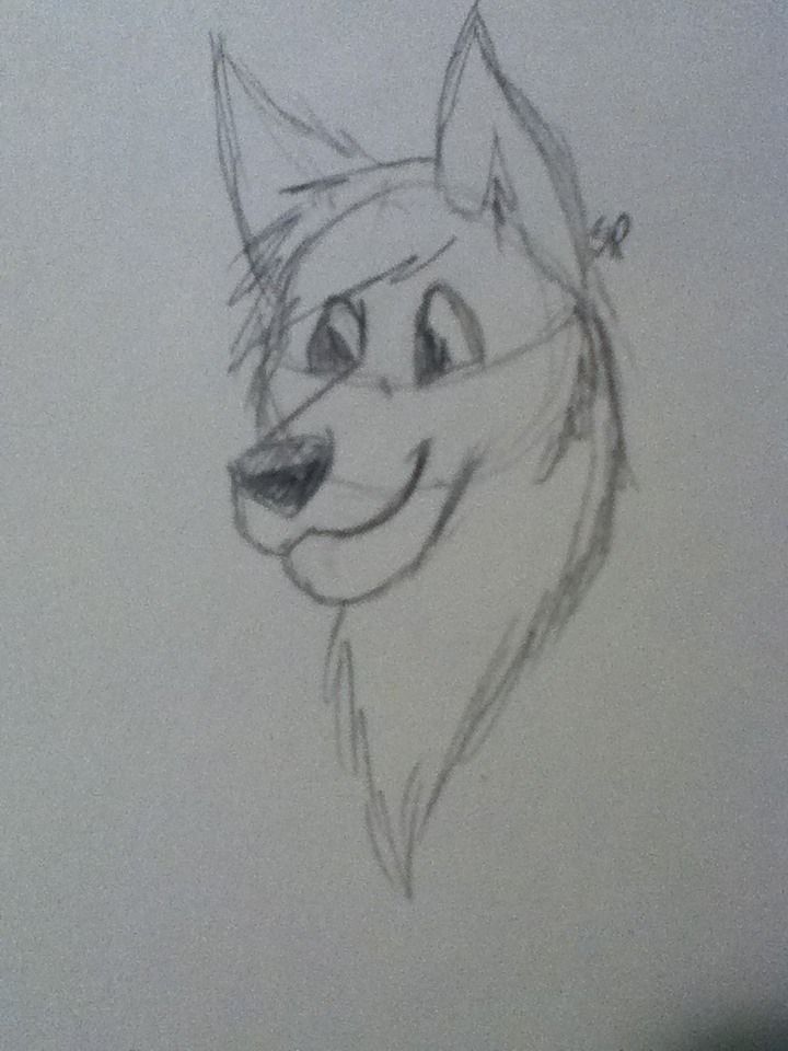 720x960 how to draw an anthro wolf head steps - Wolf Drawing Pics