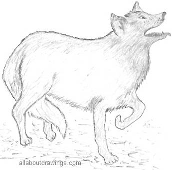 347x340 Drawings Of Wolves In Pencil - Wolf Drawing Pics