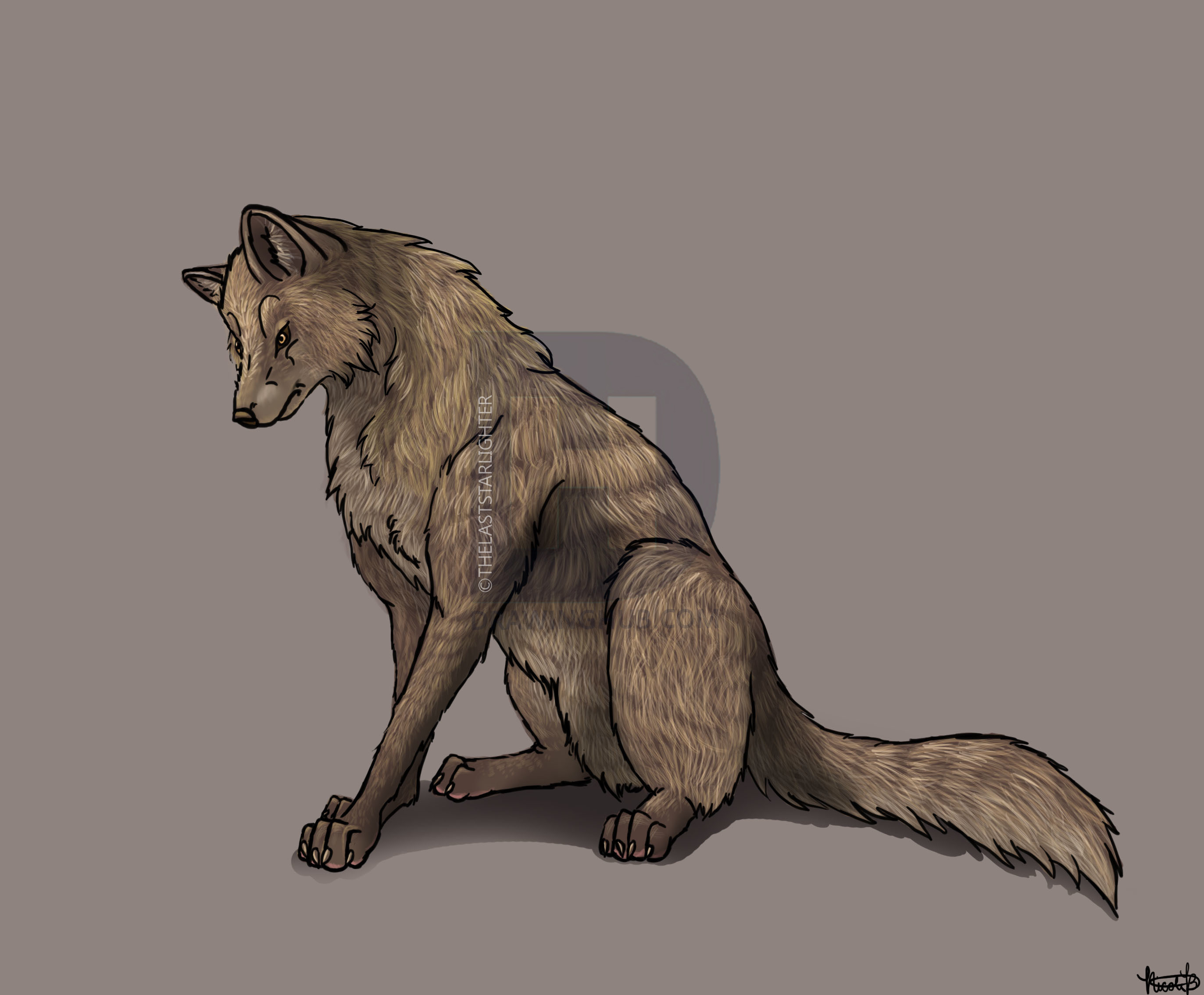 2745x2268 How To Draw A Wolf Sitting, Step - Wolf Drawing Pics