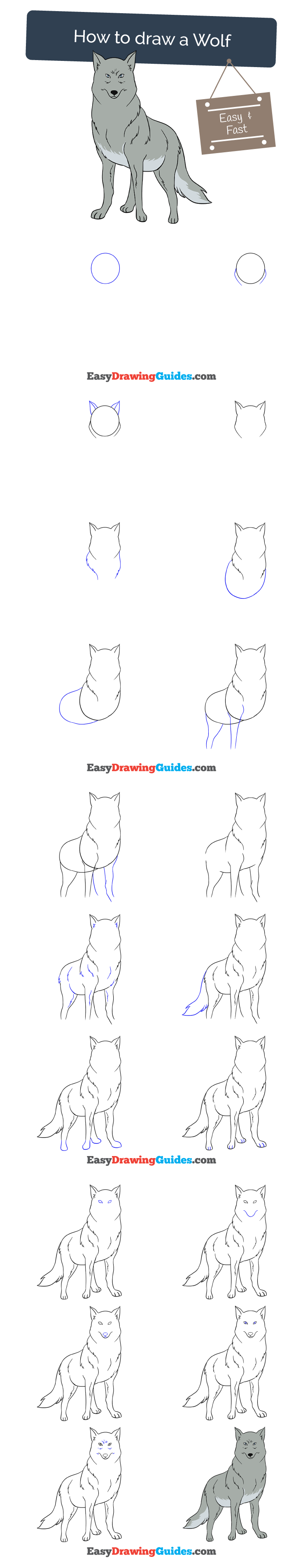 736x3810 How To Draw A Wolf How To Draw Drawings, Drawing Tutorials - Wolf Drawing Step By Step