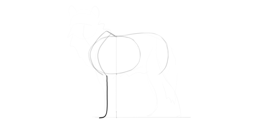 850x413 How To Draw A Wolf Step - Wolf Drawing Step By Step