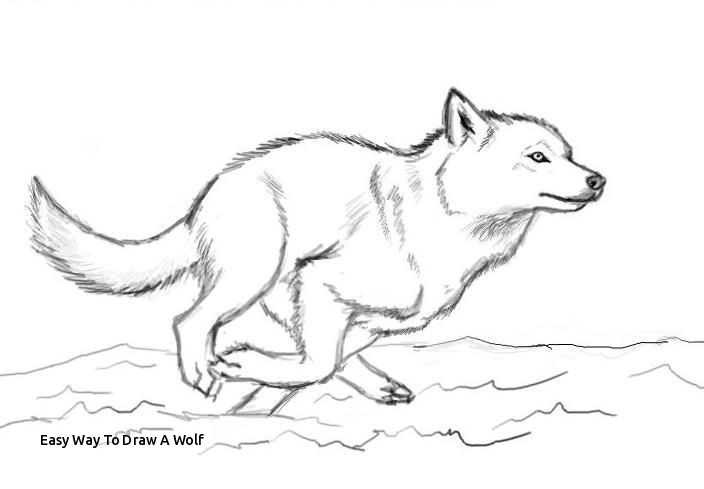 704x489 Easy Way To Draw A Wolf When You Run Make Sure You Run - Wolf Drawing Step By Step