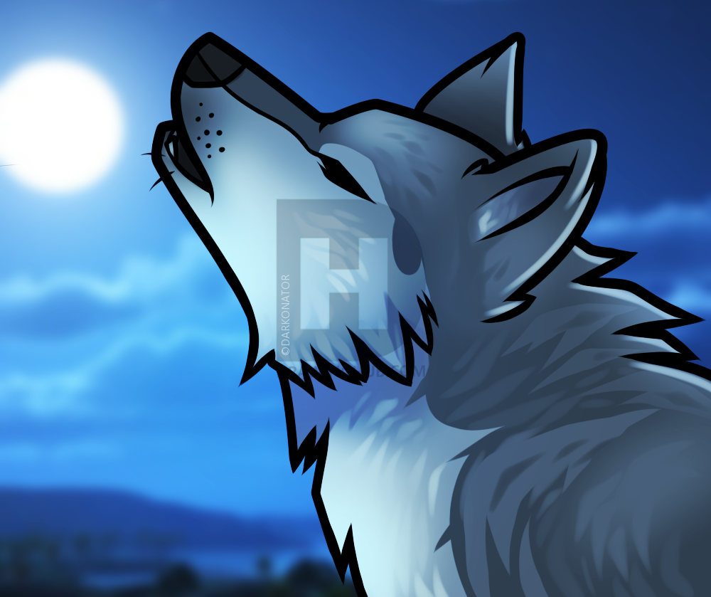 1000x839 How To Draw A Howling Wolf Easy, Step - Wolf Drawing Step By Step