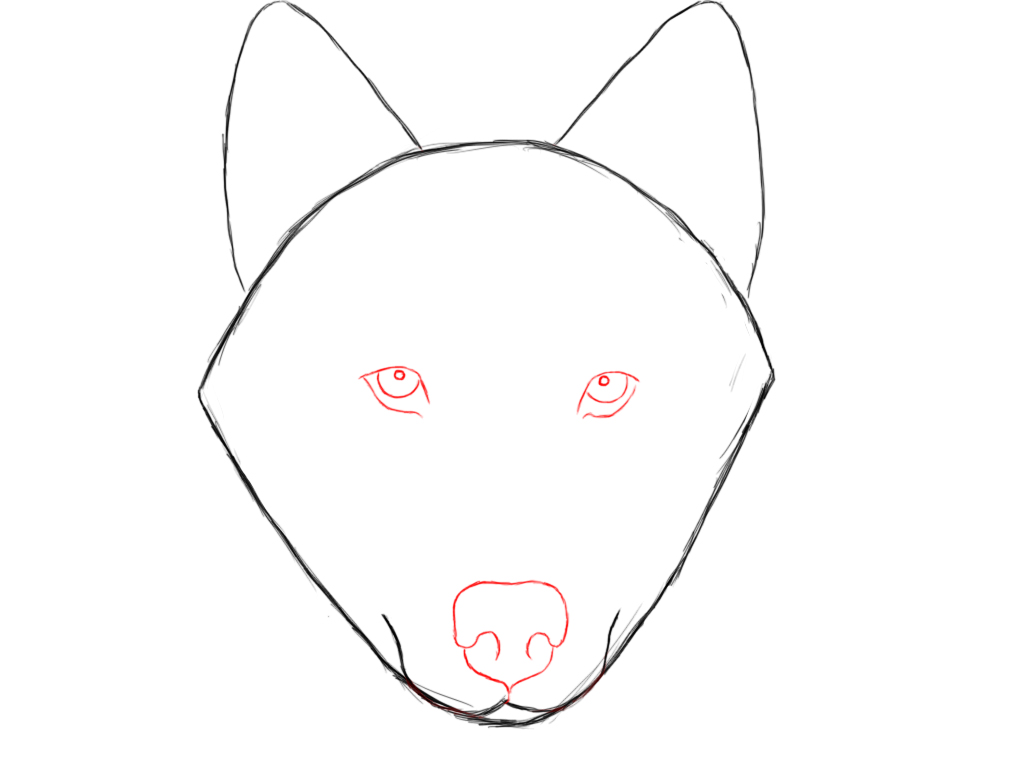 1024x768 How To Draw A Wolf Step - Wolf Drawing Step By Step