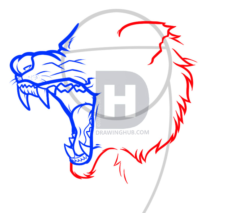 838x720 How To Draw An Angry Wolf, Angry Wolf, Step - Wolf Drawing Step By Step